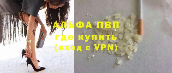 ПСИЛОЦИБИНОВЫЕ ГРИБЫ Белокуриха