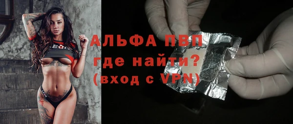ПСИЛОЦИБИНОВЫЕ ГРИБЫ Белокуриха