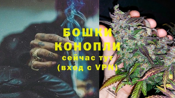 дурь Белоозёрский