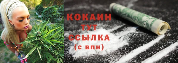 дурь Белоозёрский