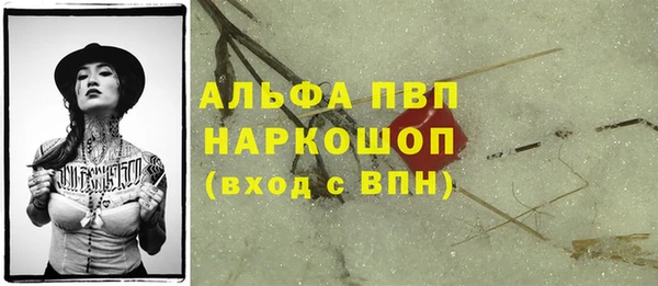 ПСИЛОЦИБИНОВЫЕ ГРИБЫ Белокуриха