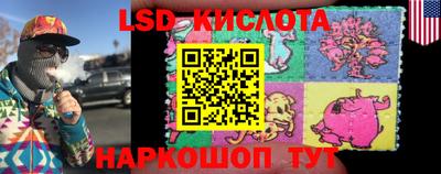 прущие грибы Лесосибирск