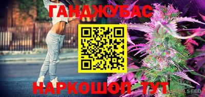 прущие грибы Лесосибирск