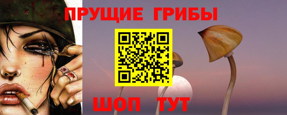 Псилоцибиновые грибы MAGIC MUSHROOMS  Вход с VPN  Саяногорск 